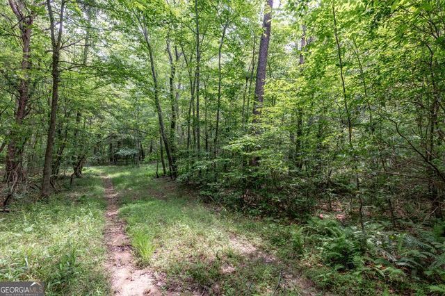 26.18 AC Green Road, Young Harris, GA 30582