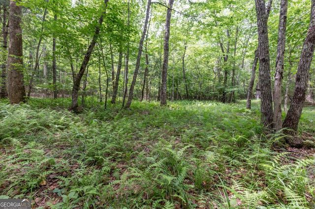 26.18 AC Green Road, Young Harris, GA 30582