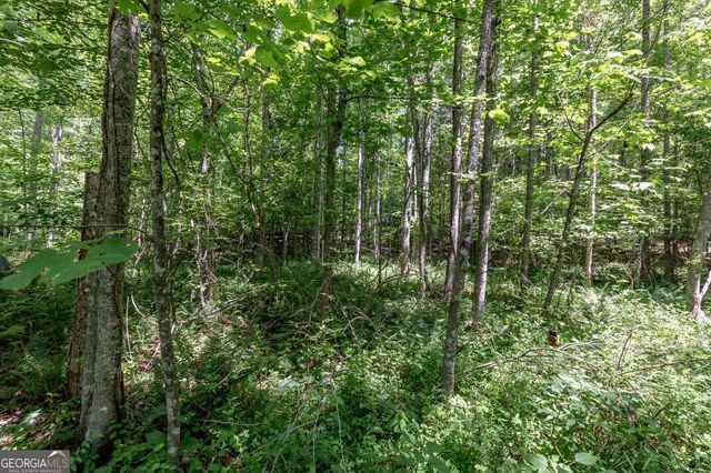 26.18 AC Green Road, Young Harris, GA 30582