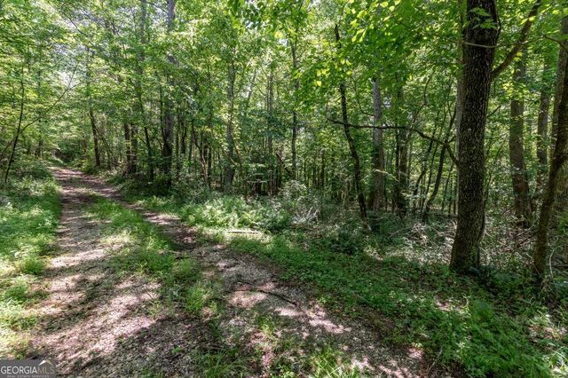 26.18 AC Green Road, Young Harris, GA 30582