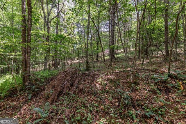 26.18 AC Green Road, Young Harris, GA 30582