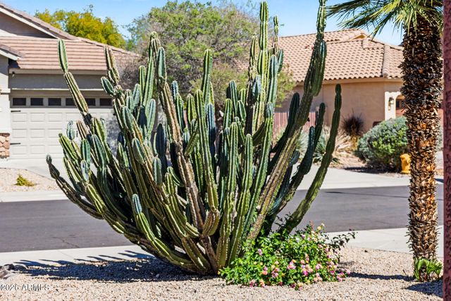 8373 W MARY ANN Drive, Peoria, AZ 85382