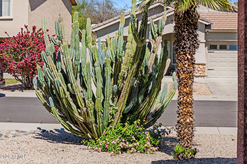 8373 W MARY ANN Drive, Peoria, AZ 85382