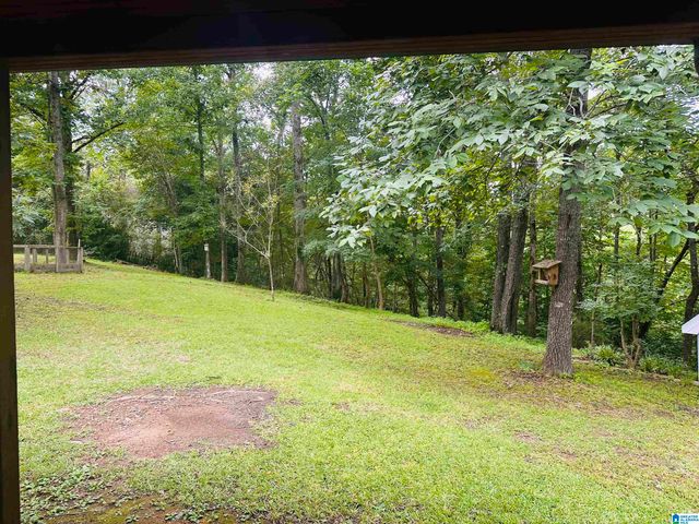 1070 MOUNTAIN LAKE ROAD, Warrior, AL 35180