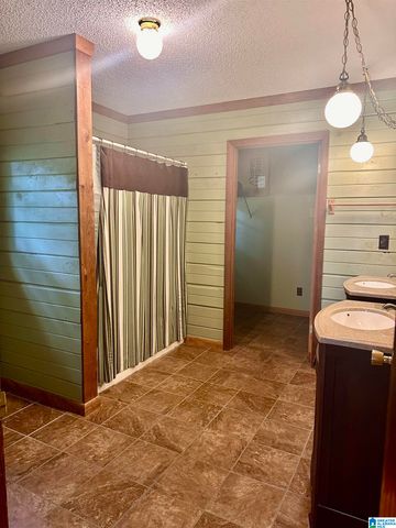 1070 MOUNTAIN LAKE ROAD, Warrior, AL 35180