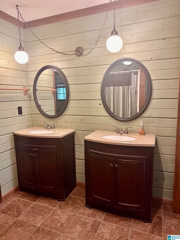 1070 MOUNTAIN LAKE ROAD, Warrior, AL 35180