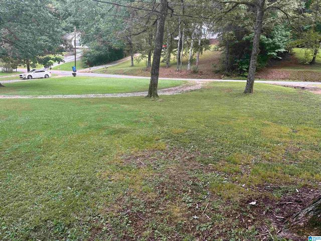 1070 MOUNTAIN LAKE ROAD, Warrior, AL 35180
