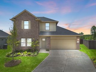 2925 Terrace Grove Drive, Conroe, TX 77304