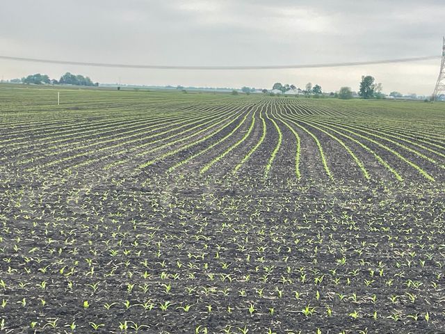 15775 Brisbin Road, Minooka, IL 60447