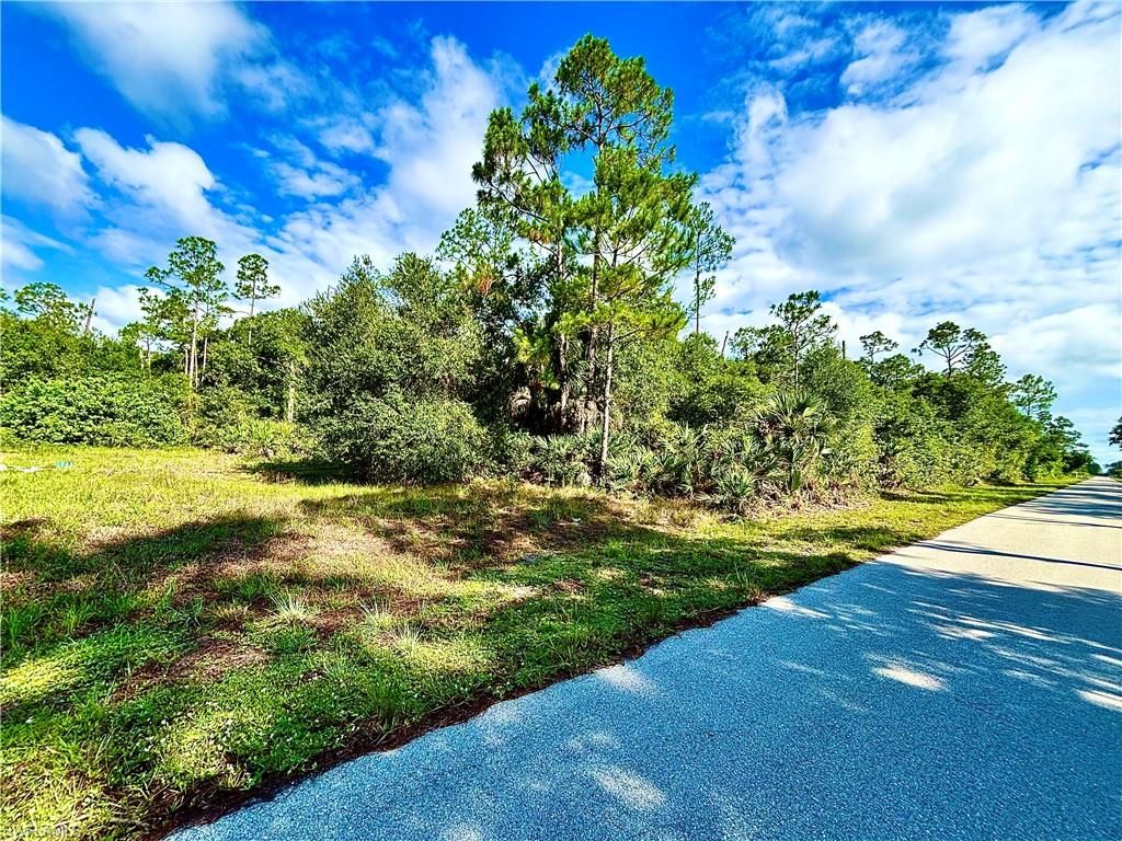 1005 Irving AVE, LEHIGH ACRES, FL 33972 — photo 2