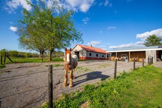 501 Burnt Hill Rd, Unionville, TN 37180