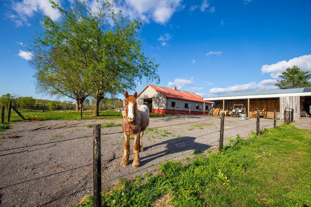 501 Burnt Hill Rd, Unionville, TN 37180