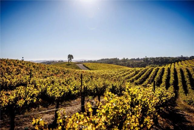 3000 Oakdale Rd., Paso Robles, CA 93446