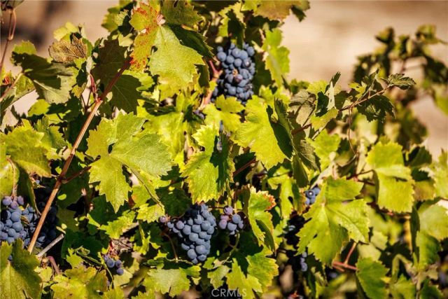 3000 Oakdale Rd., Paso Robles, CA 93446