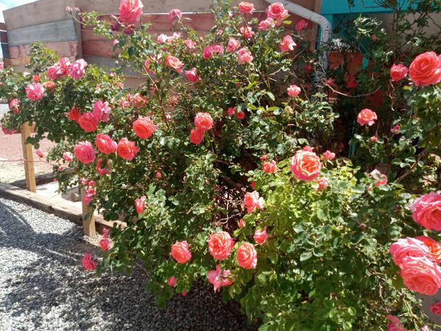 7417 Mackenzie Drive NE, Rio Rancho, NM 87144