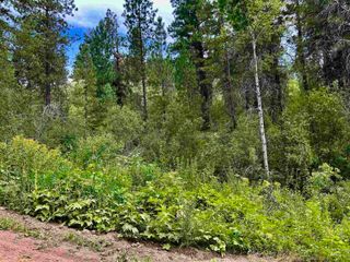 Lot 165b Johnson Creek, Boise, ID 83716