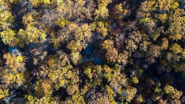 335 WILDWOOD LN, Shenandoah, VA 22849