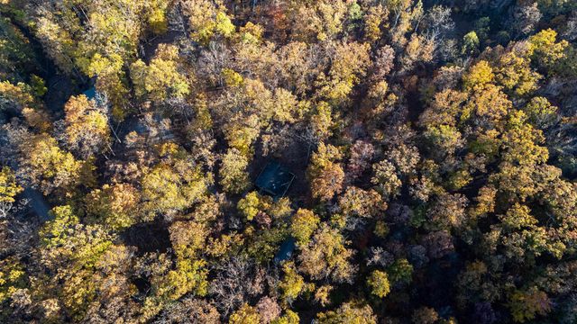 335 WILDWOOD LN, Shenandoah, VA 22849