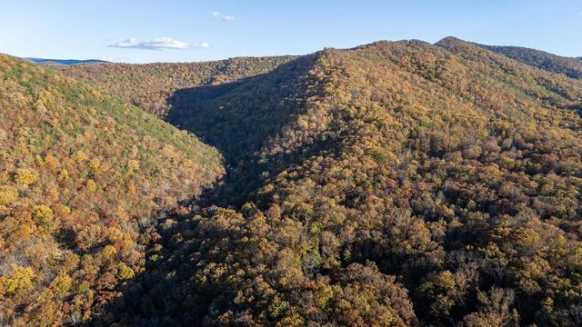 335 WILDWOOD LN, Shenandoah, VA 22849