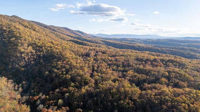 335 WILDWOOD LN, Shenandoah, VA 22849