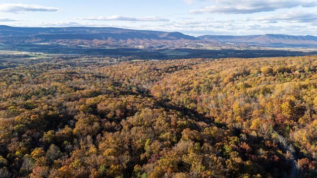 335 WILDWOOD LN, Shenandoah, VA 22849