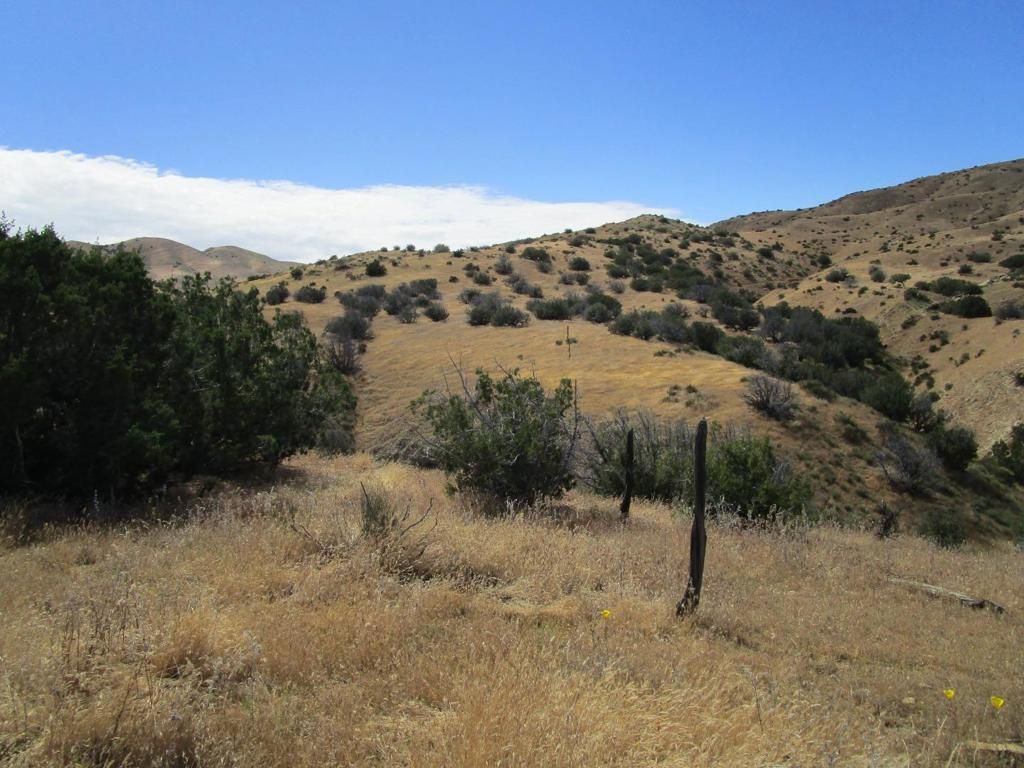Image 11 of property listing at 0 New Idria Road, Paicines, CA 95043