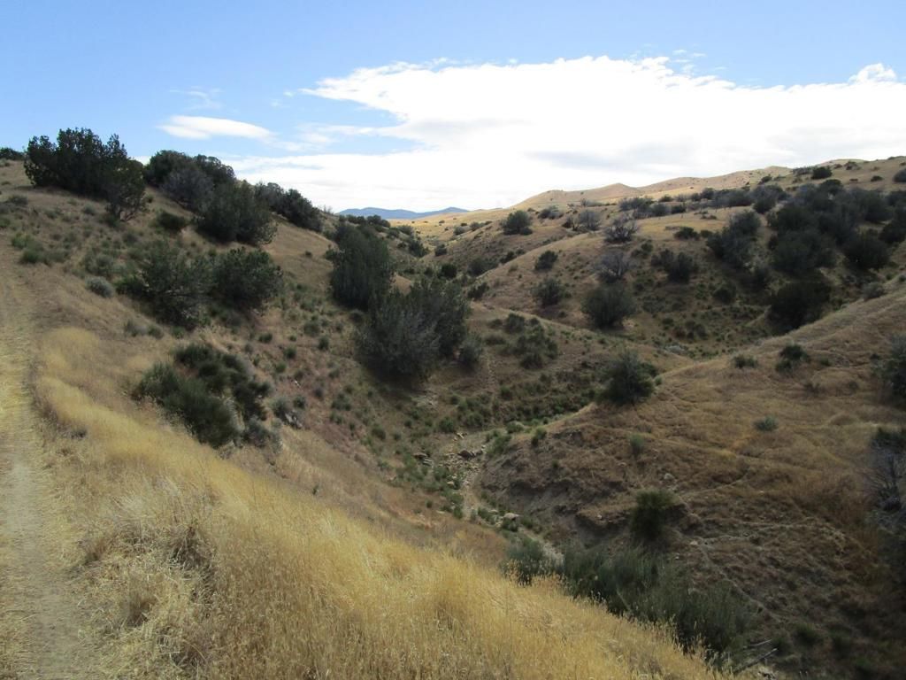 Image 12 of property listing at 0 New Idria Road, Paicines, CA 95043