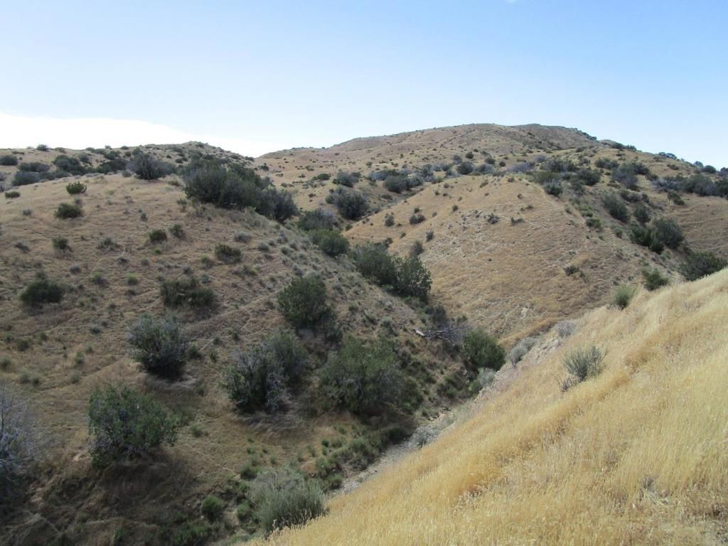 Image 13 of property listing at 0 New Idria Road, Paicines, CA 95043
