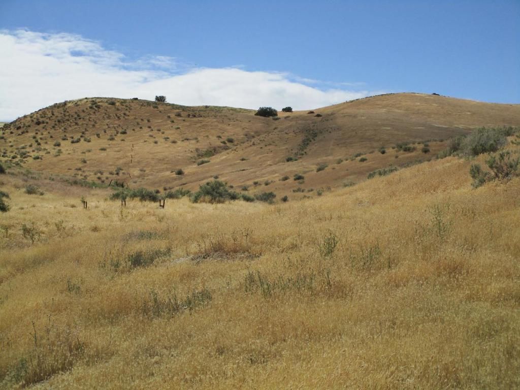 Image 16 of property listing at 0 New Idria Road, Paicines, CA 95043