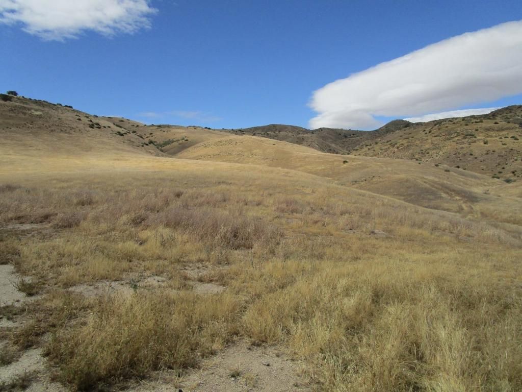 Image 18 of property listing at 0 New Idria Road, Paicines, CA 95043