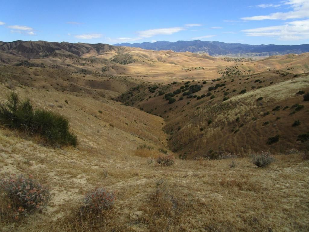 Image 21 of property listing at 0 New Idria Road, Paicines, CA 95043