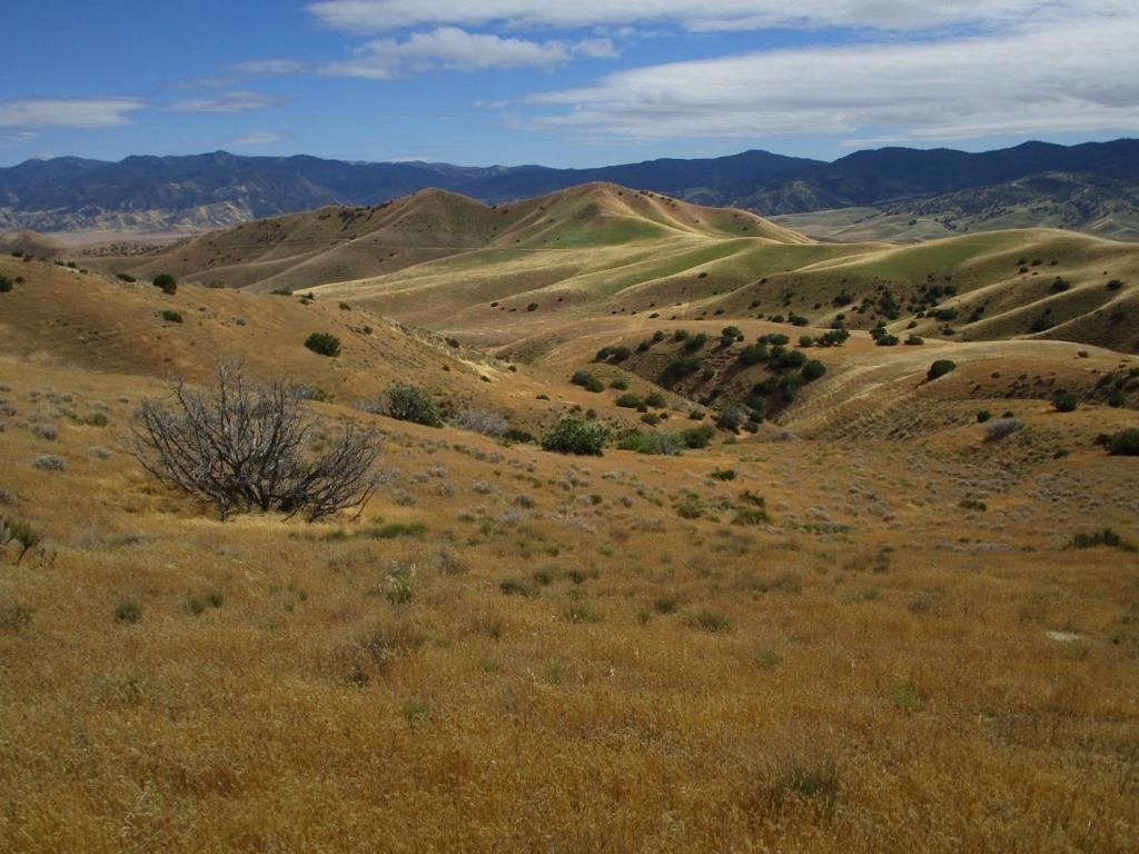 Image 22 of property listing at 0 New Idria Road, Paicines, CA 95043
