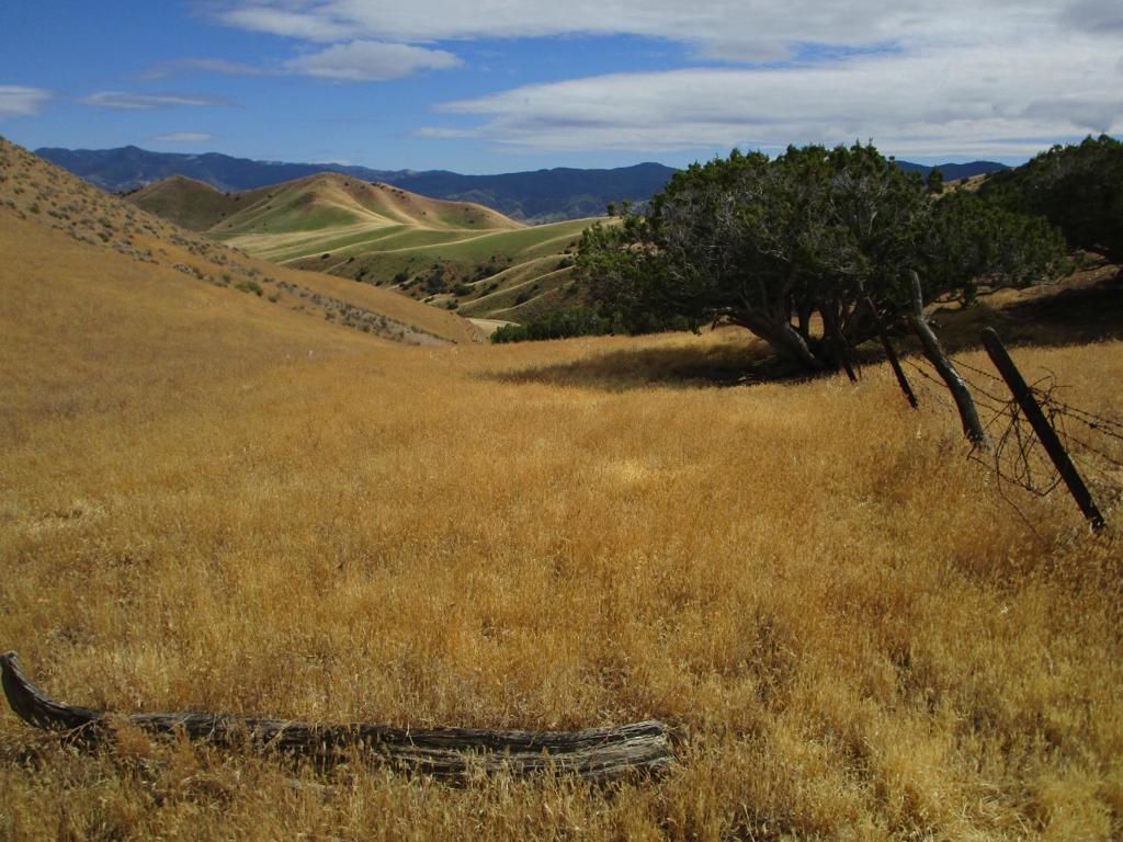 Image 24 of property listing at 0 New Idria Road, Paicines, CA 95043