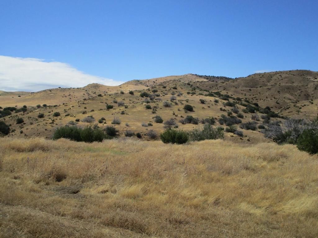 Image 7 of property listing at 0 New Idria Road, Paicines, CA 95043
