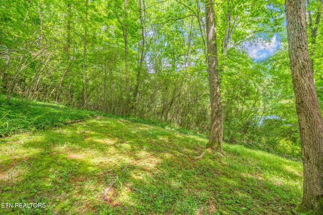 1329 Berry Rd, Knoxville, TN 37920