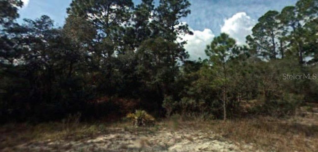 394 SHOWBOAT AVENUE, Lake Placid, FL 33852