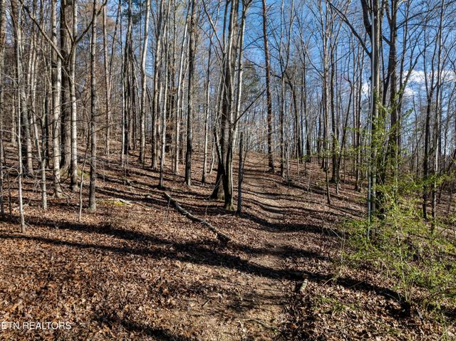 150 Clear Branch Rd N, Loudon, TN 37774