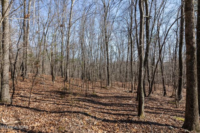 150 Clear Branch Rd N, Loudon, TN 37774