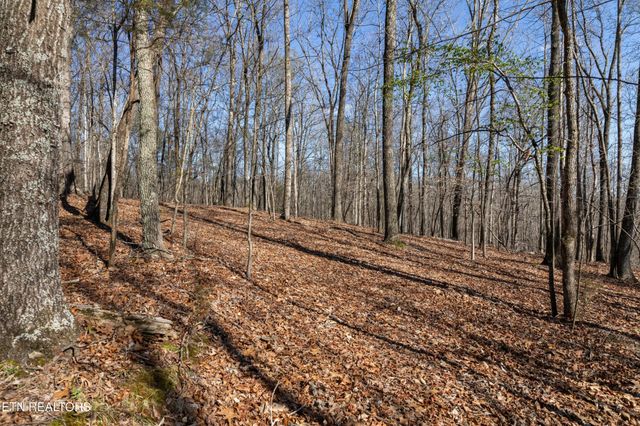 150 Clear Branch Rd N, Loudon, TN 37774