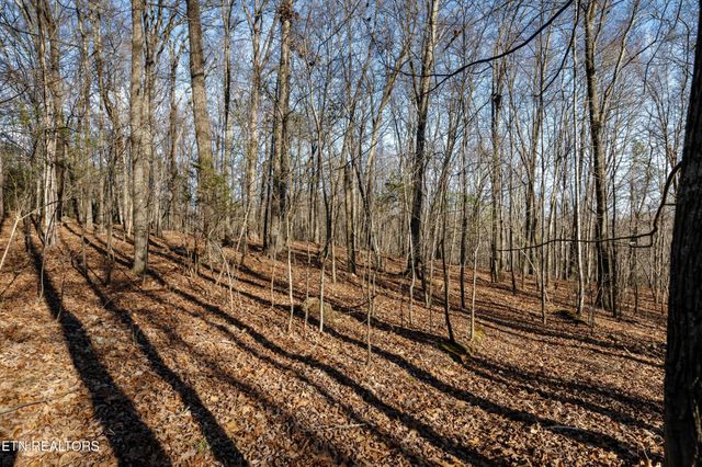 150 Clear Branch Rd N, Loudon, TN 37774