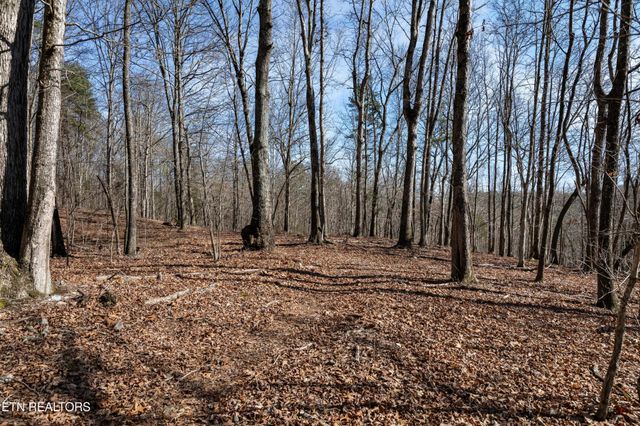 150 Clear Branch Rd N, Loudon, TN 37774