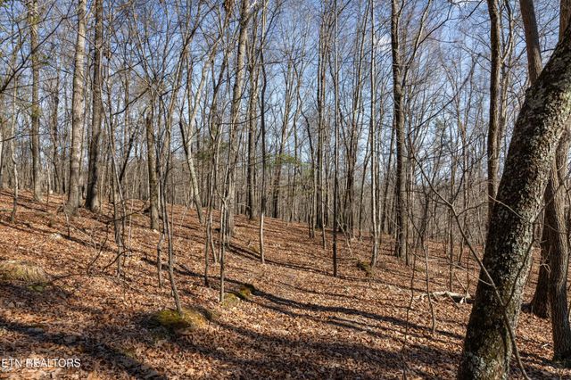 150 Clear Branch Rd N, Loudon, TN 37774