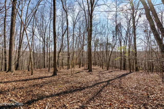 150 Clear Branch Rd N, Loudon, TN 37774