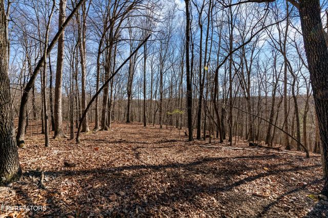 150 Clear Branch Rd N, Loudon, TN 37774