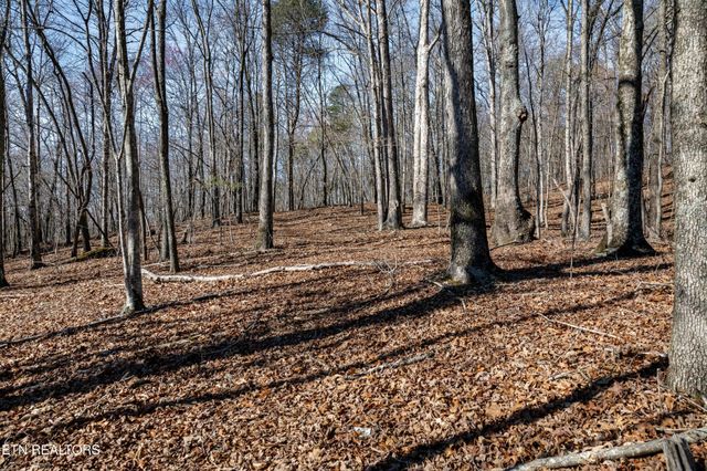 150 Clear Branch Rd N, Loudon, TN 37774