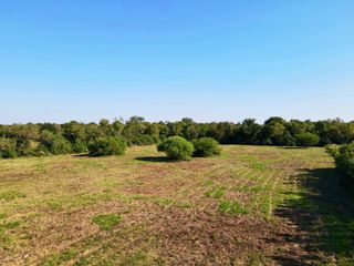 0 Old Van Vleck Road, Bay City, TX 77414