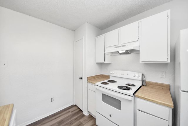 23326 Prairie Bird Drive, Spring, TX 77373