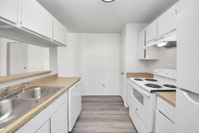 23326 Prairie Bird Drive, Spring, TX 77373