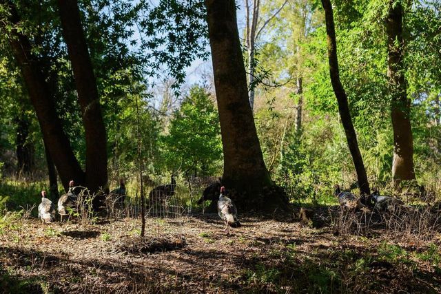 515 Lockhart Gulch Road, Scotts Valley, CA 95066