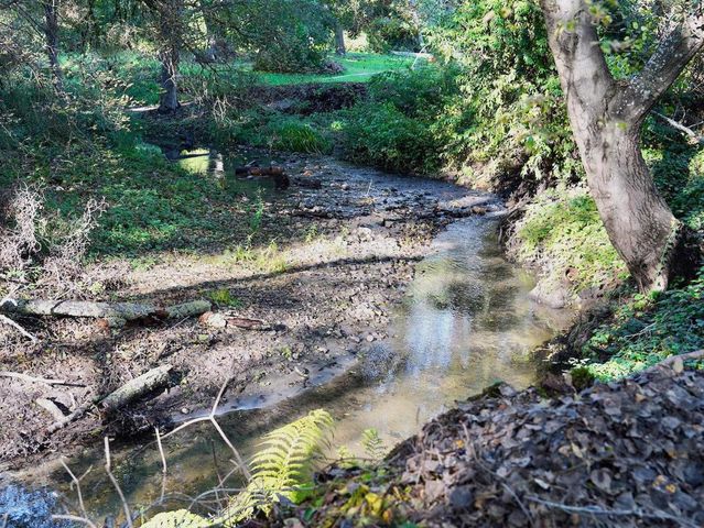 515 Lockhart Gulch Road, Scotts Valley, CA 95066